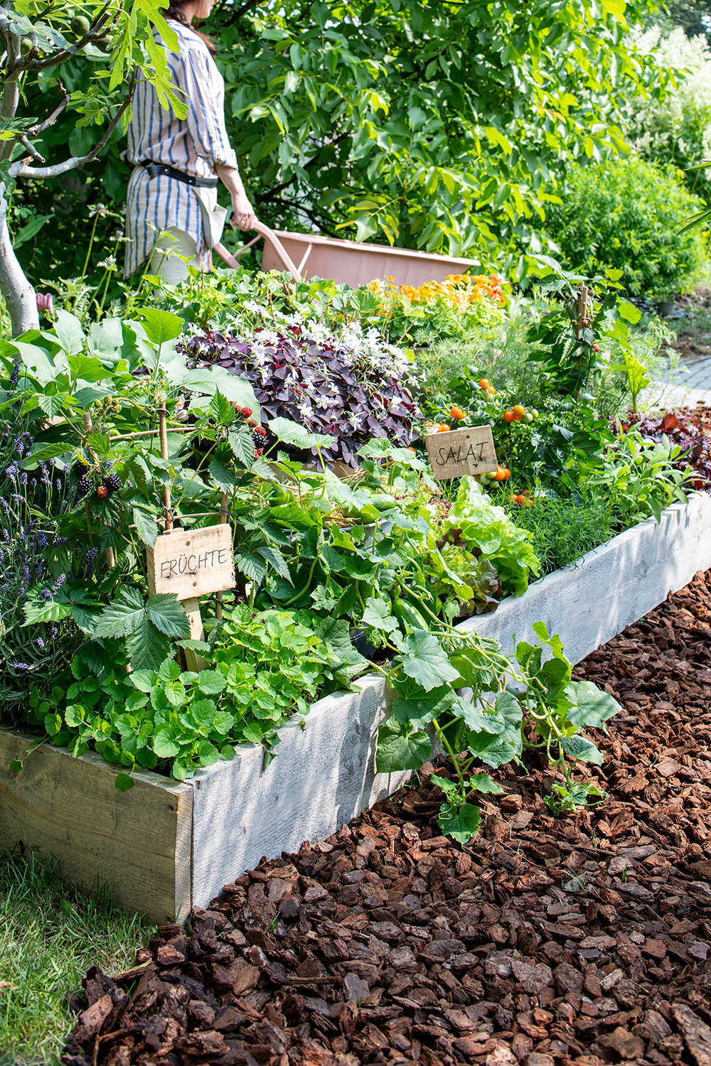 Gemuse Und Krauterbeet Anlegen